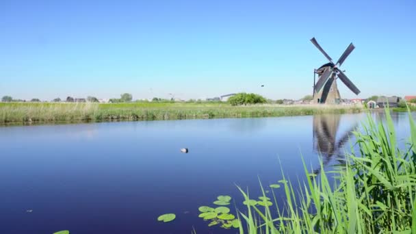 Holland szélmalom folyóvíz felett — Stock videók