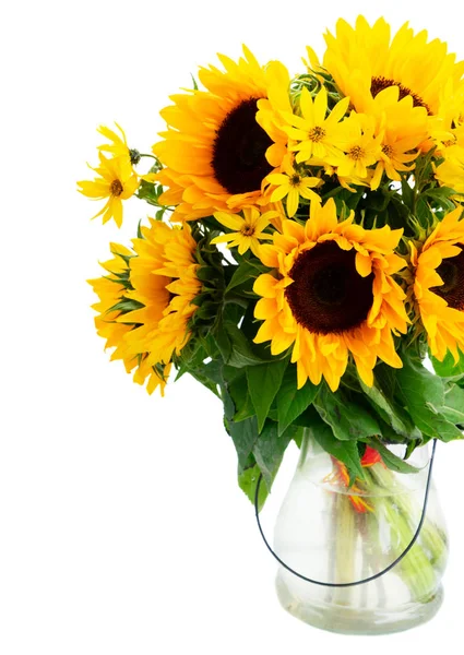 Zonnebloemen op wit — Stockfoto