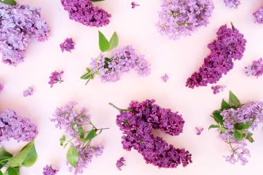 Taze leylak çiçekleri