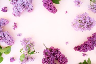 Taze leylak çiçekleri