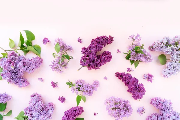 Taze leylak çiçekleri