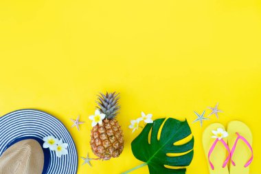 Yaz düzlüğü manzarası