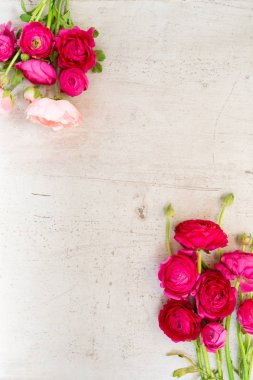 Çiçeklerin düz konumu