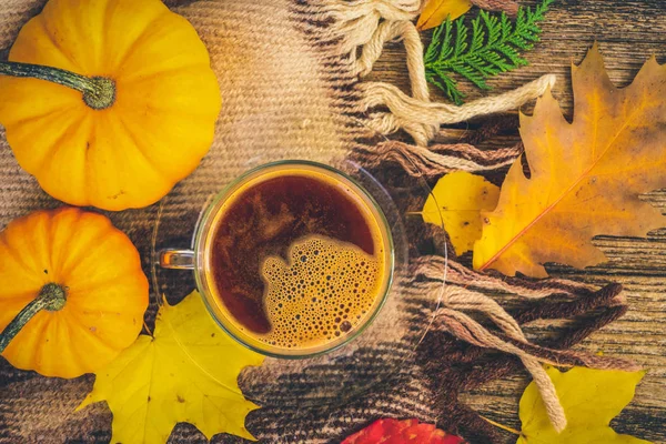 Sonbahar arkaplanından çıkar