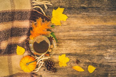 Sonbahar arkaplanından çıkar