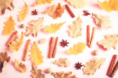 Sonbahar arkaplanından çıkar