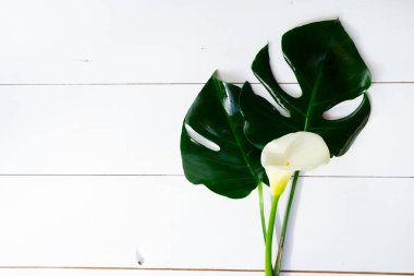 Yaz düz sahne beyaz tahtalar üzerinde yatıyordu.