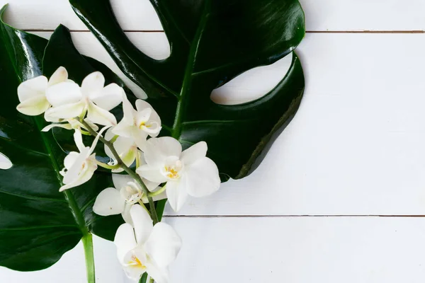 Sommar platt låg natur på whiteboardtavlor — Stockfoto