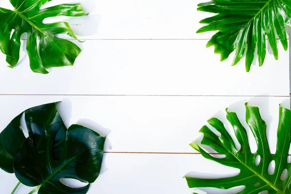 Summer flat lay scenery on white boards