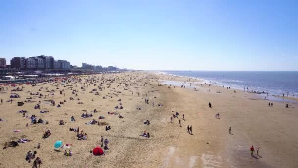 Pláž Scheveningen, Haag — Stock video