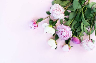 Taze şakayık çiçekleri