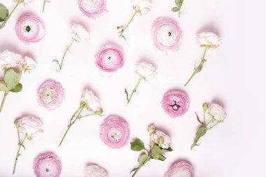 Çiçeklerin düz konumu