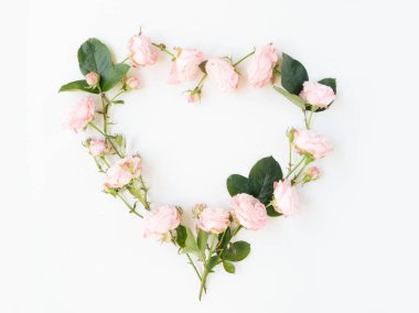 Çiçeklerin düz konumu