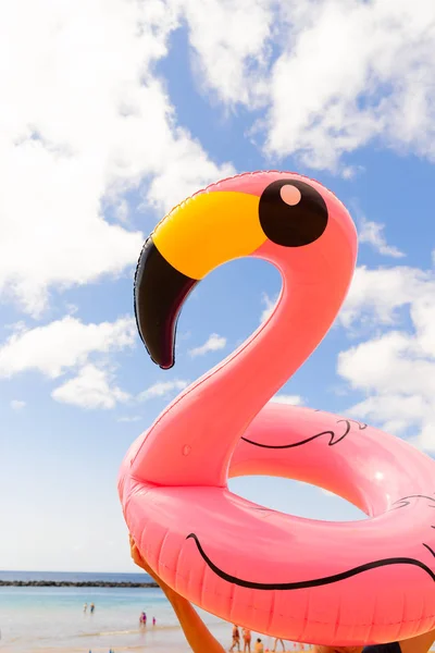 Pink flamingo na plaży — Zdjęcie stockowe