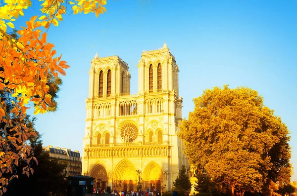 Notre Dame cathedral, Paris France — Stock Photo, Image