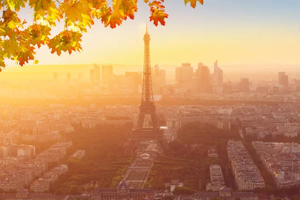 Eiffel Tower and Paris cityscape — Stock Photo, Image