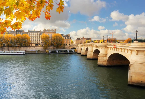 Pont neuf, paris, Frankrijk — Stockfoto