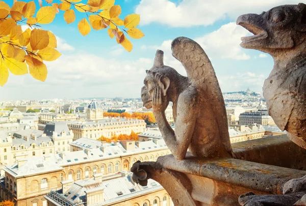 Gargoyle of Paris — Stock Photo, Image