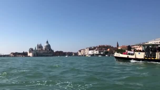 Bazylika Santa Maria della Salute, Wenecja, Włochy — Wideo stockowe