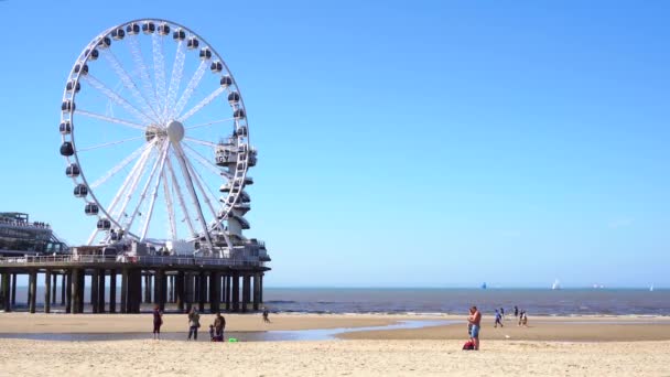 Scheveningen beach, Гаага — стоковое видео