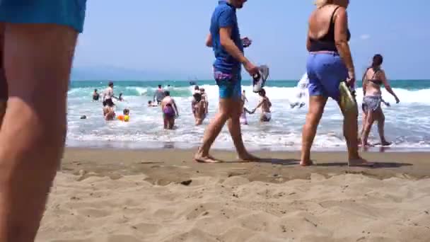 Zumaia kıyıları, Pais Vasco İspanya — Stok video