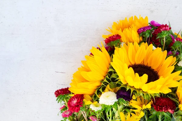 Girasoli su bianco — Foto Stock