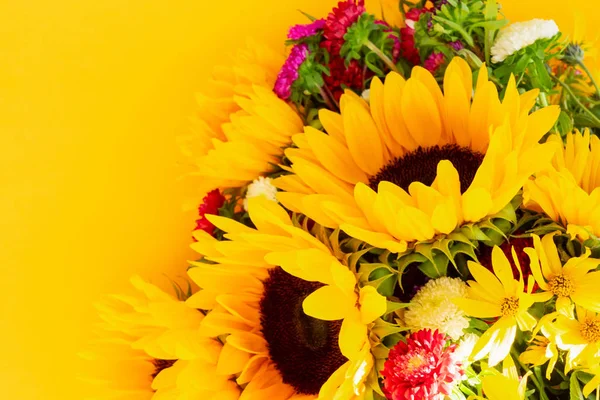 Sonnenblumen auf weiß — Stockfoto