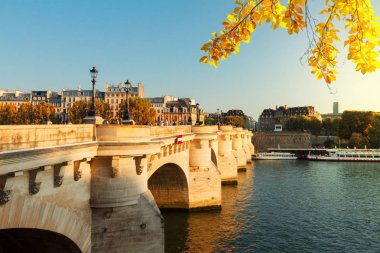 Pont neuf, paris, Fransa