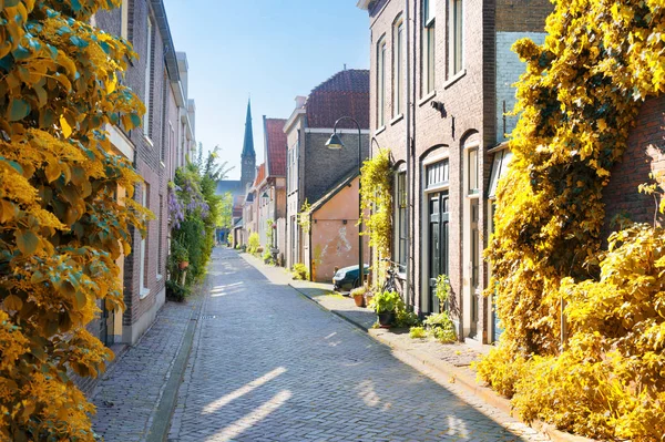 Vieille ville de Delft en Hollande — Photo