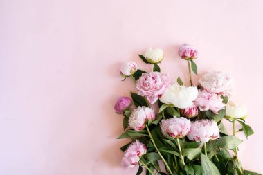 Taze şakayık çiçekleri