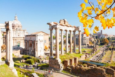 Forum - Roma, İtalya 'da Roma harabeleri