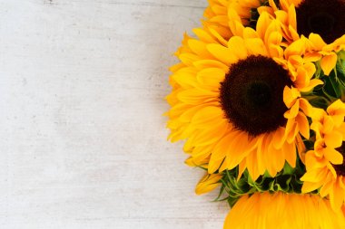 Beyaz üzerine ay çiçekleri