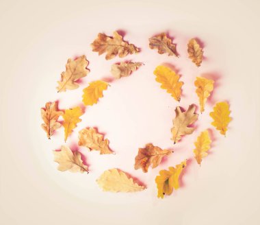 Sonbahar arkaplanından çıkar