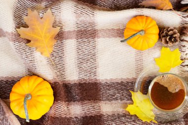 Sonbahar arkaplanından çıkar