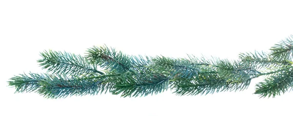 Christmas garland on white — Stock Photo, Image