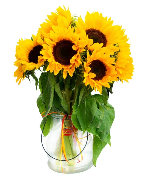 Zonnebloemen op wit — Stockfoto