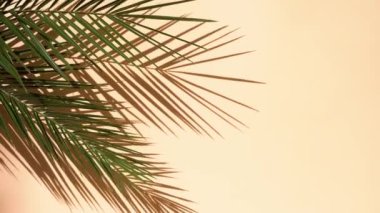 Yaz düzlüğü manzarası