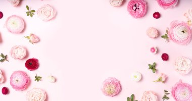 Çiçeklerin düz konumu