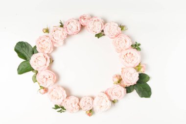 Çiçeklerin düz konumu