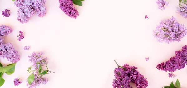 Flores frescas de lila — Foto de Stock