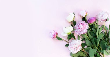 Taze şakayık çiçekleri