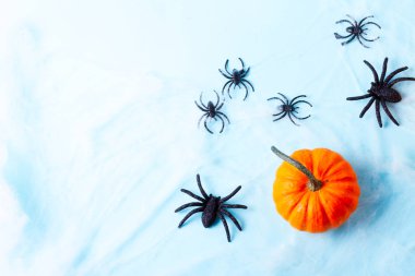 Cadılar Bayramı düz arka planı