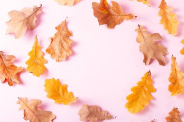 Sonbahar arkaplanından çıkar