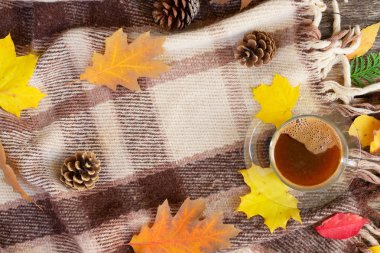 Sonbahar arkaplanından çıkar