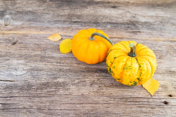 Pumpkin on table — Stock Photo, Image