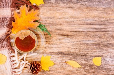 Sonbahar arkaplanından çıkar