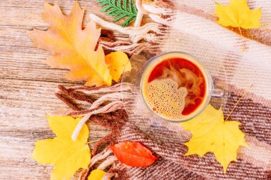 Sonbahar arkaplanından çıkar