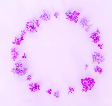 Taze leylak çiçekleri