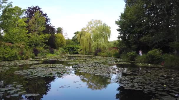 Rybník s liliemi v Giverny — Stock video