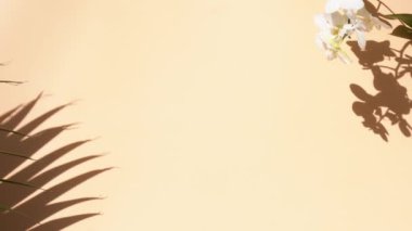 Yaz düzlüğü manzarası